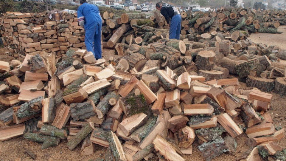 Конфискуваха 10 каруци с незаконни дърва за огрев | StandartNews.com