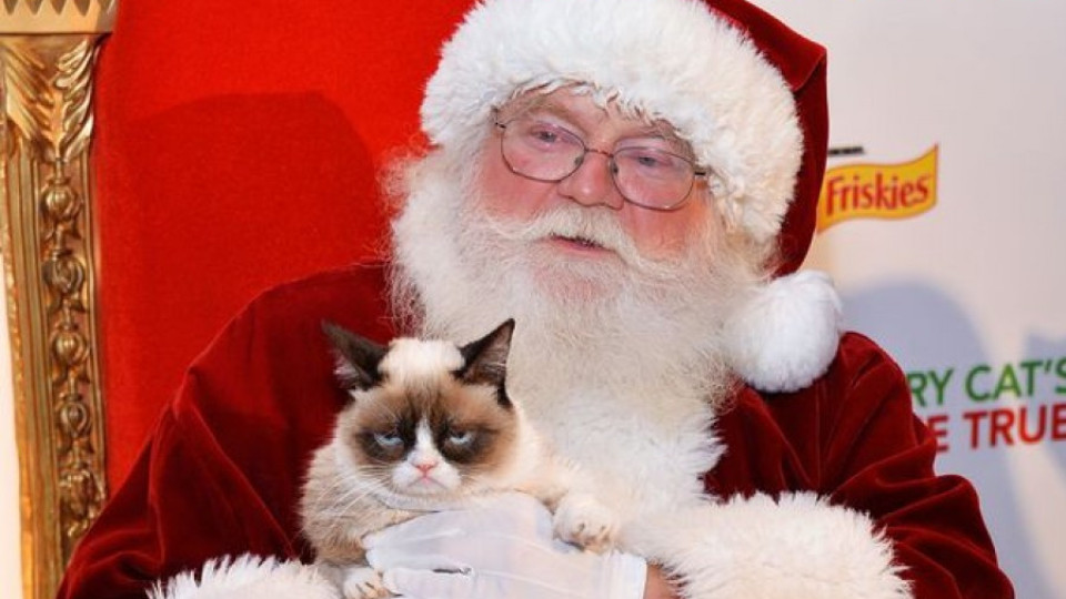 ВИДЕО: Световноизвестни котки в "Трудно е да си котка по Коледа" | StandartNews.com