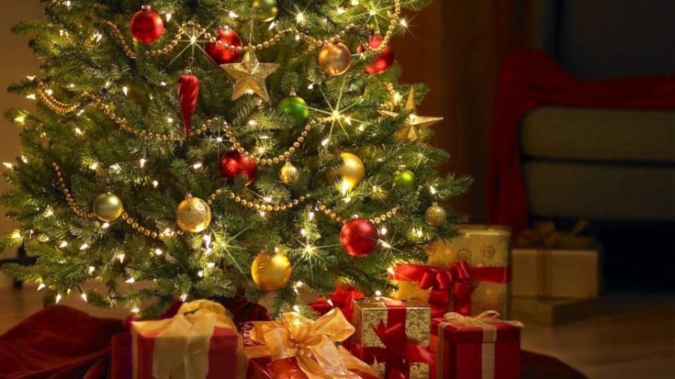 Пиеса „Коледна елха" радва хлапета | StandartNews.com