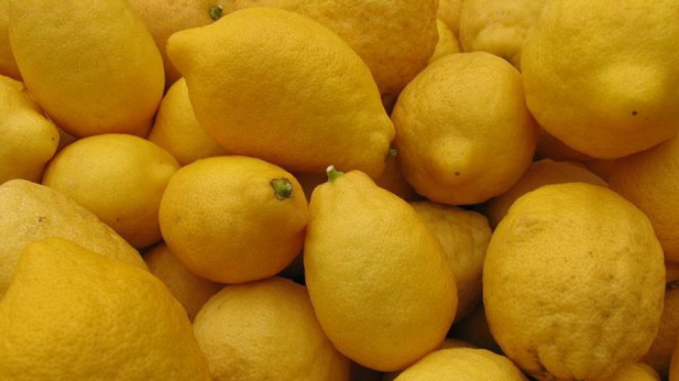 16 бона глоба за лимонена контрабанда | StandartNews.com