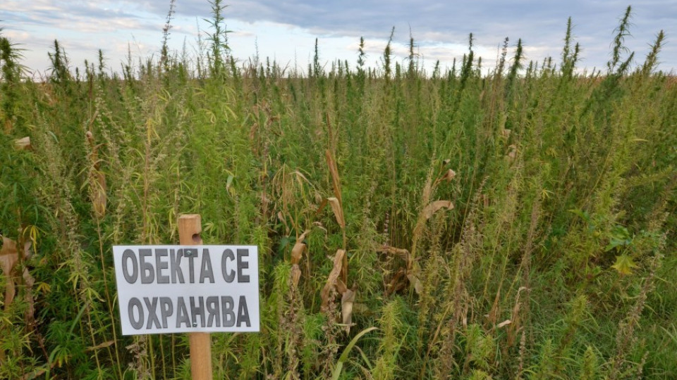 Фонд "Земеделие" одобри проекти за 55,2 млн. лв. | StandartNews.com