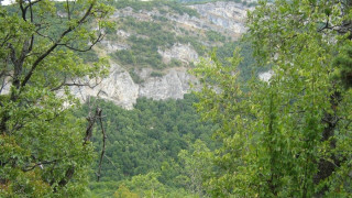 Книга по избор за млади художници