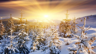 Днес денят е най-кратък, празнуваме зимното слънцестоене