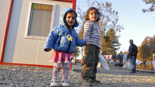 Бежанци от Враждебна късат клони като сувенир от Коледната елха