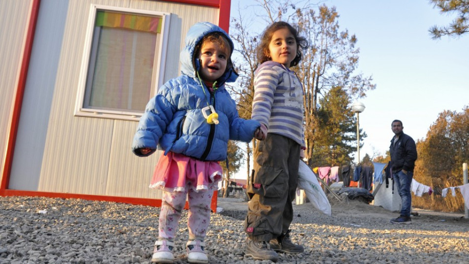 Бежанци от Враждебна късат клони като сувенир от Коледната елха | StandartNews.com