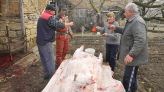 200-килограмовият Гошо изквича за Коледа