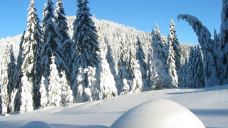 Утре ще е предимно слънчево