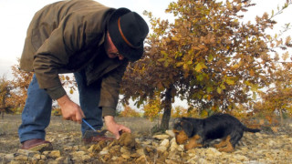 Бодигардът на дукеса Фърги ял и пил с Осама