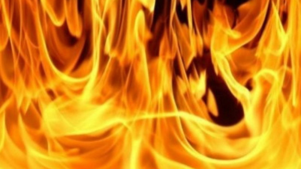 Пожар гори в Бистришко бранище | StandartNews.com