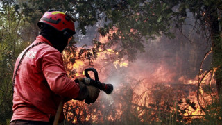 Пожар унищожи аржентински природен резерват