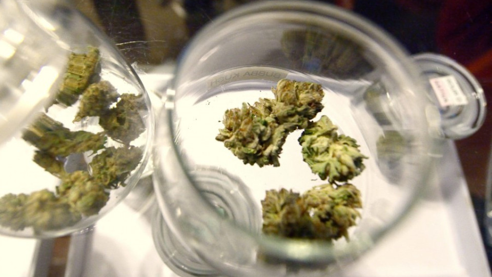 И Ню Йорк може да легализира марихуаната | StandartNews.com