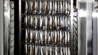 Шведи отварят рибна фабрика в Айтос