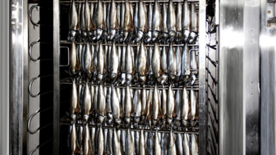Шведи отварят рибна фабрика в Айтос | StandartNews.com