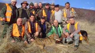 Авджии отстреляха 58-килограмов вълк