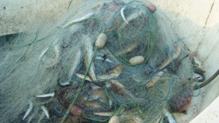 Над 2300 м рибарски мрежи са иззети от бракониери