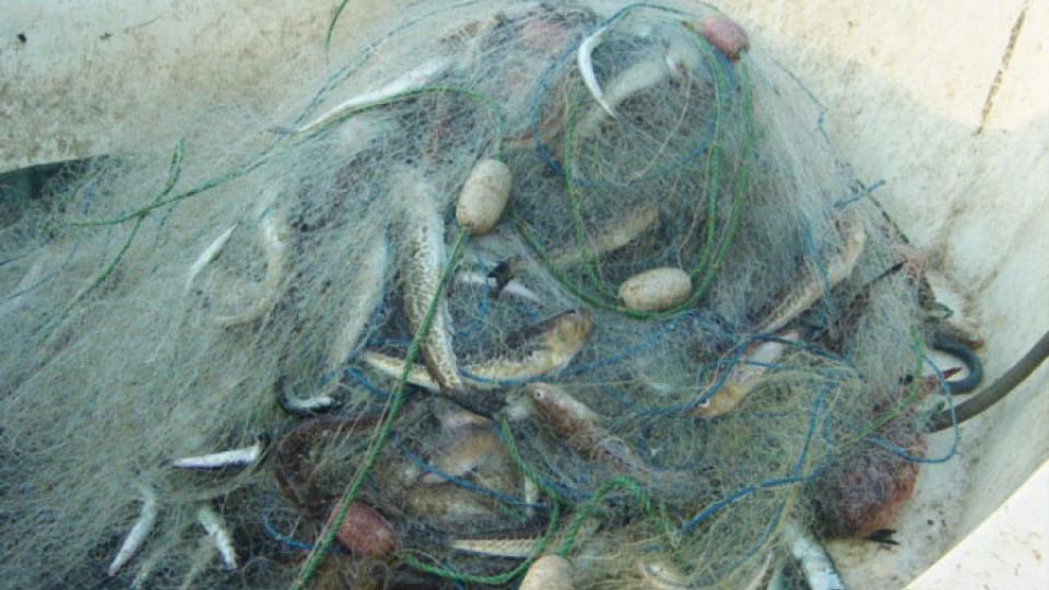 Над 2300 м рибарски мрежи са иззети от бракониери | StandartNews.com
