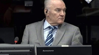 Ратко Младич ще представи защитата си