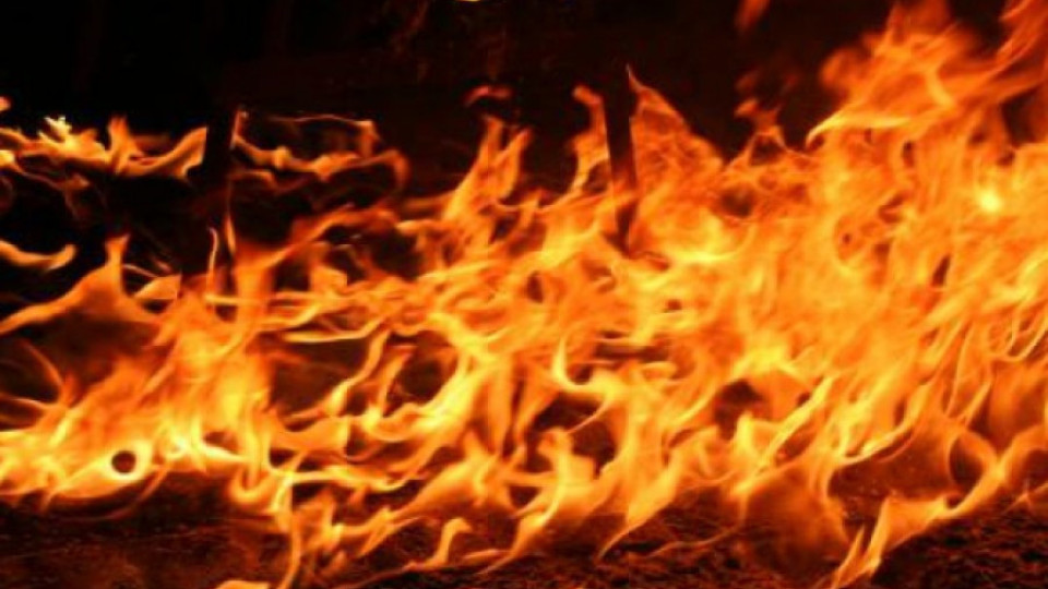 Три коли горяха в благоевградски квартал | StandartNews.com