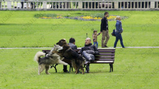 Слънце и следобедни валежи по Черноморието 
