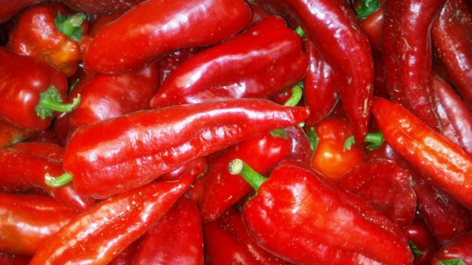 Хванаха най-малко тон отровни зеленчуци на Капитан Андреево | StandartNews.com