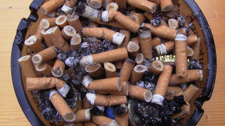 МЗ помага за спиране на цигарите в Световния ден без тютюн