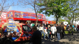 Тони си слага главата в пастта на алигатор