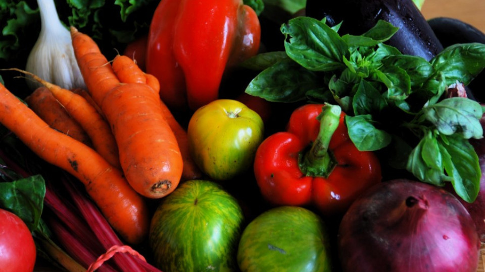 150 заявления за окачествяване подадоха зеленчукопроизводители от Пиринско | StandartNews.com