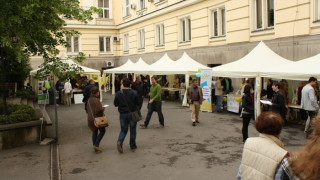 „Кариера с кауза" събра 50 НПО-та, търсещи служители и доброволци