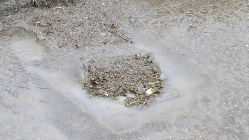 Дъжд удави Добричко, градушка съсипа посеви и градини | StandartNews.com