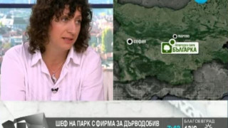 Бившият шеф на парк "Българка": Алиев е некомпетентен