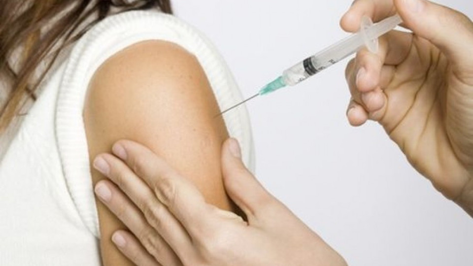 Липсващи ваксини срещу бяс в Плевен застрашиха здравето на 19 души | StandartNews.com