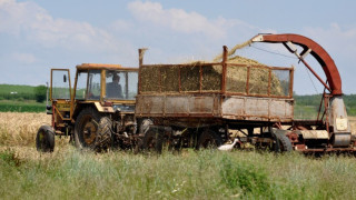 Жътвата в хасковско с отложен старт заради дъждовете