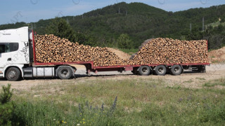 Следят с чип дървесината