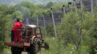 Изчезва БГ салатата