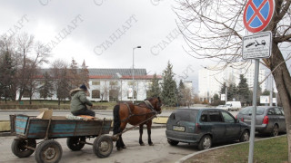 Каруцар падна и счупи черепа си