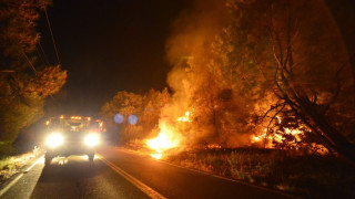 Евакуираха над 1000 души заради горски пожар в Калифорния