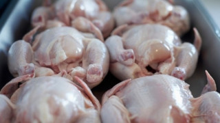 Пилешко със салмонела в търговската мрежа на Пловдив
