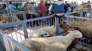 Затвориха животинските пазари и в Старозагорско