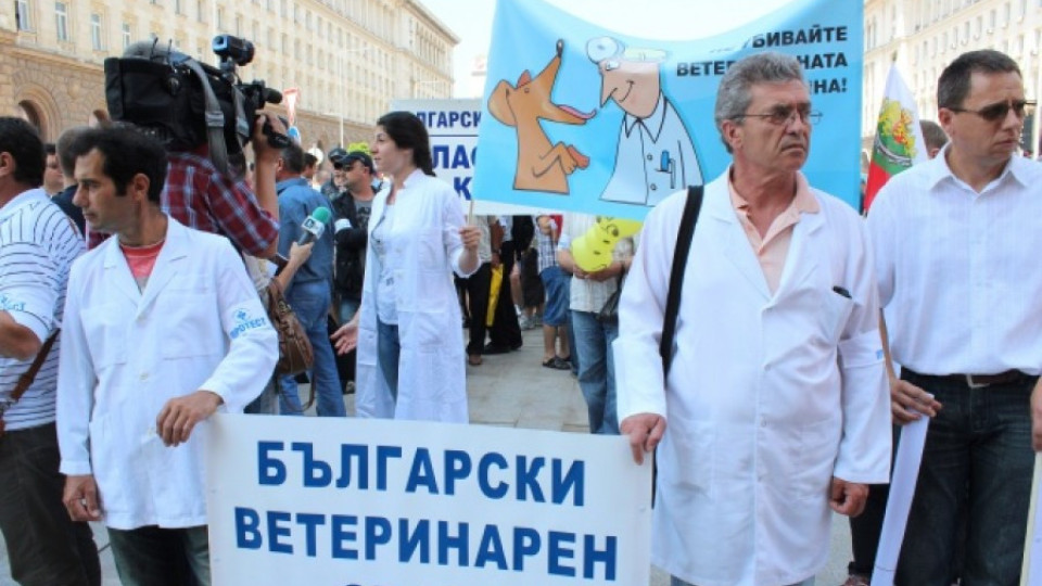Ветеринарите организират национален протест пред МС | StandartNews.com