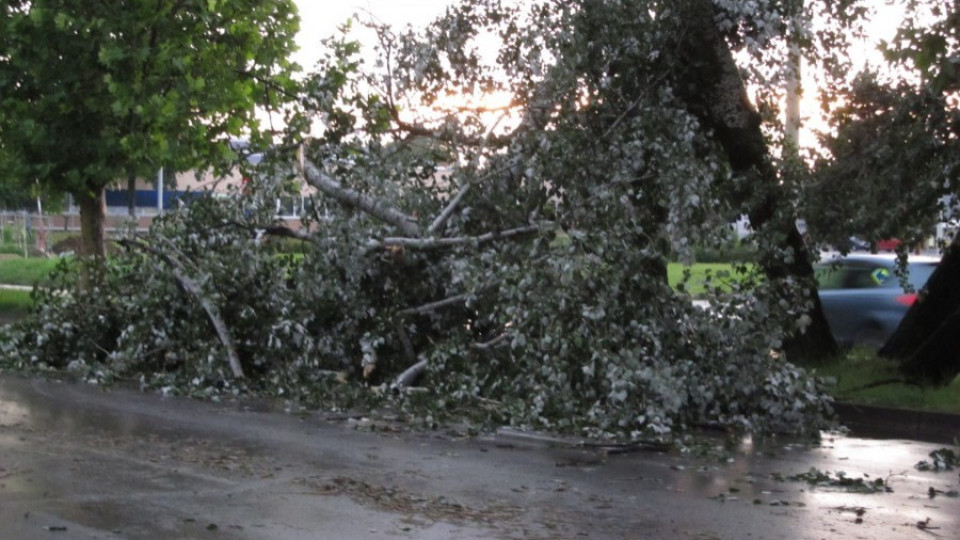 Гръмотевична буря остави село без ток, събори дървета | StandartNews.com