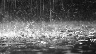 Възстаноиха тока и водата в Добрич след бурята