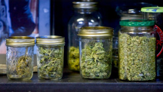 Орегон ще гласува за легализирането на марихуаната