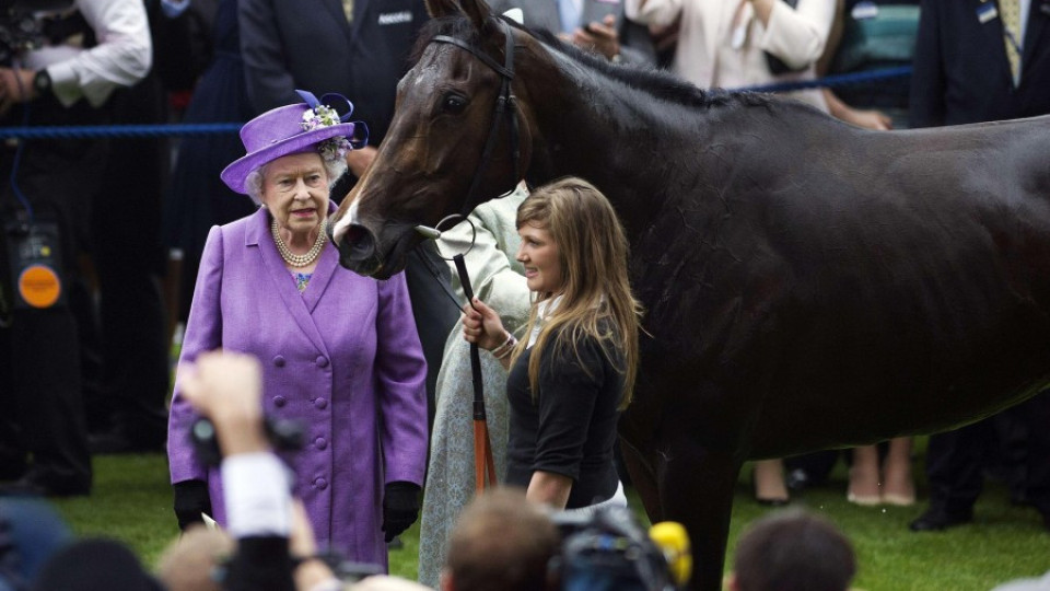 Кон на Елизабет II даде положителна проба за морфин | StandartNews.com