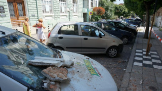 Дърво падна на алеята до плажа във Варна