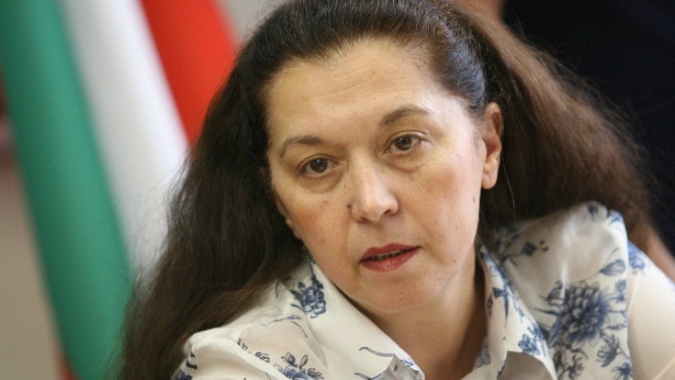 Румяна Тодорова: 225 милиона лева не са достатъчни | StandartNews.com