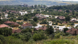 Шарани по кило плуват из Мизия