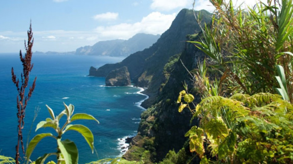 Избраха Мадейра за най-добрия остров в Европа | StandartNews.com
