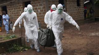 СЗО: Еболата е заплаха за целия свят