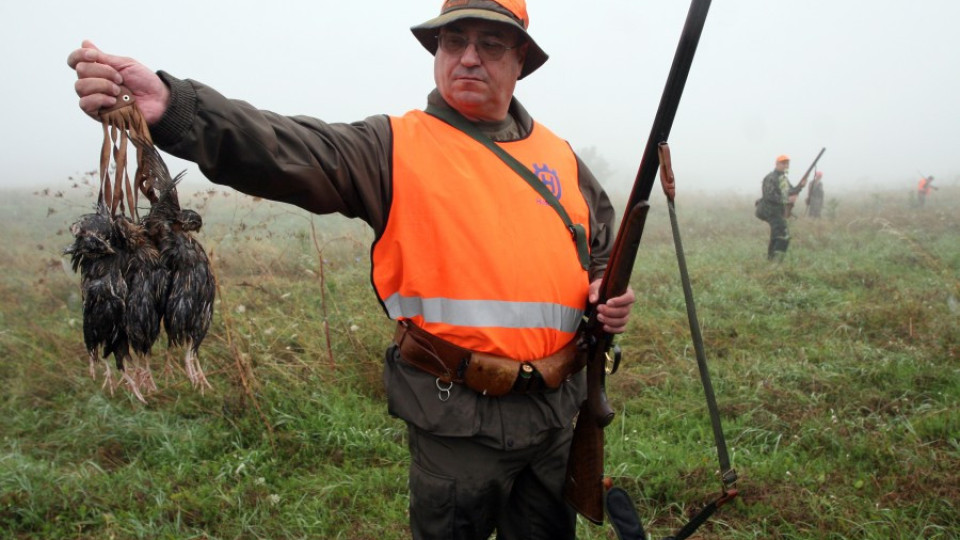 Хиляди на лов за гургулици | StandartNews.com