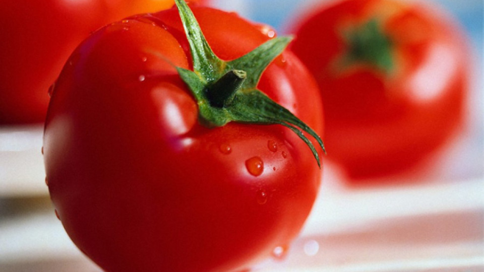 Родният домат стана сръбски | StandartNews.com
